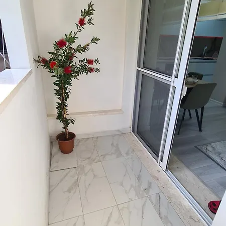 Dei Cozy