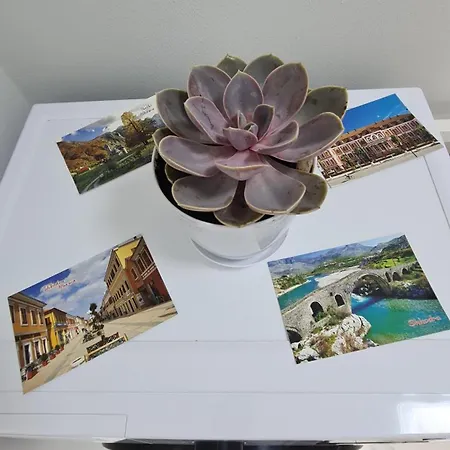 Dei Cozy Σκόδρα