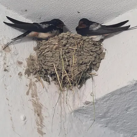 Apartamento Dei Cozy Shkodër