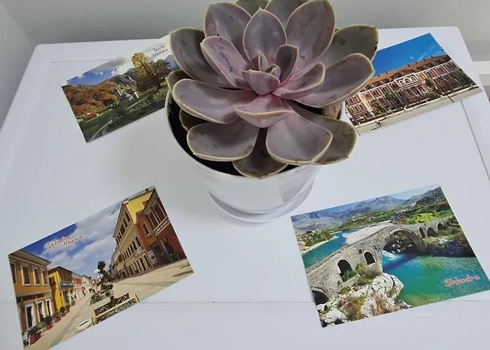 Dei Cozy Σκόδρα