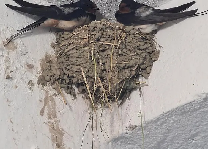 Appartement Dei Cozy Shkodër